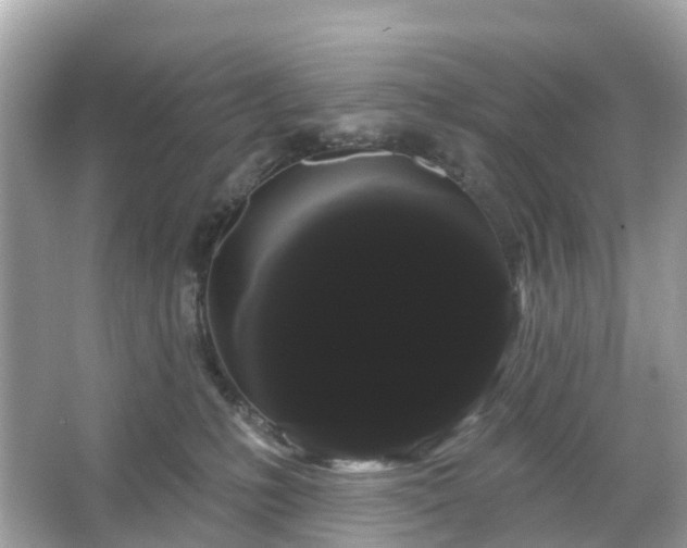 X0000066120231200603131336