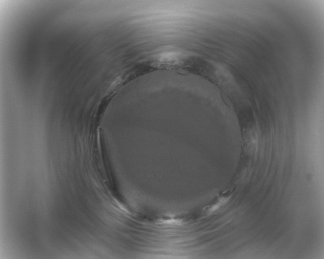 X0000066120232200603131336