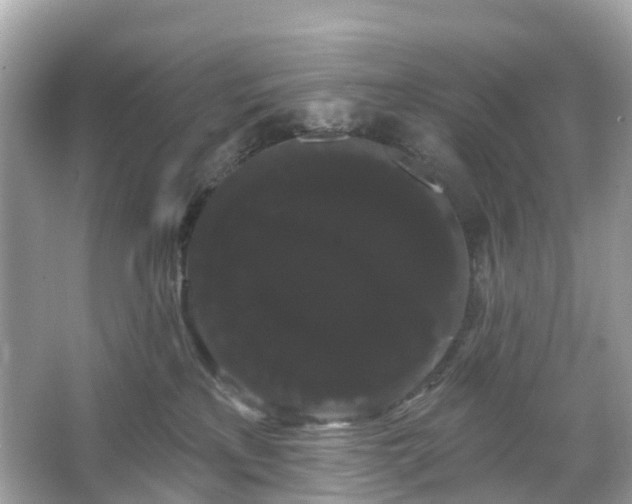 X0000066120233200603131336