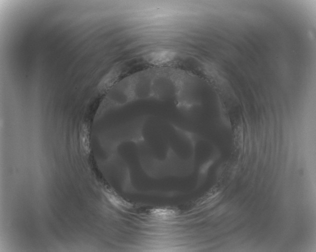 X0000066120234200603131336