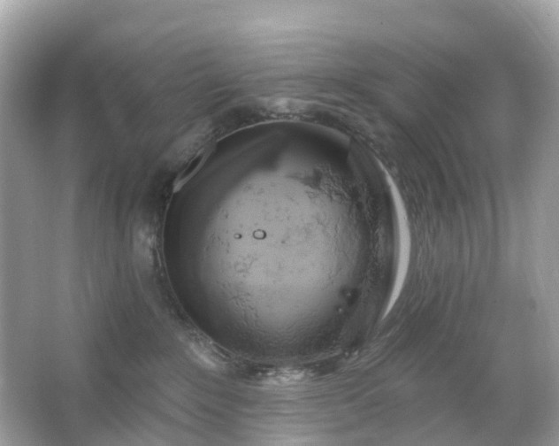 X0000066120235200603131336