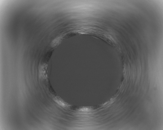 X0000066120237200603131336