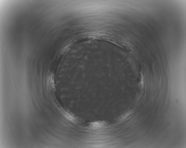 X0000066120238200603131336