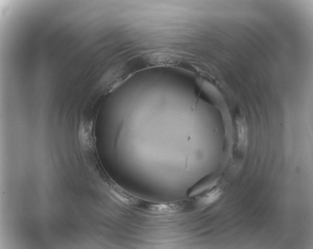 X0000066120239200603131336