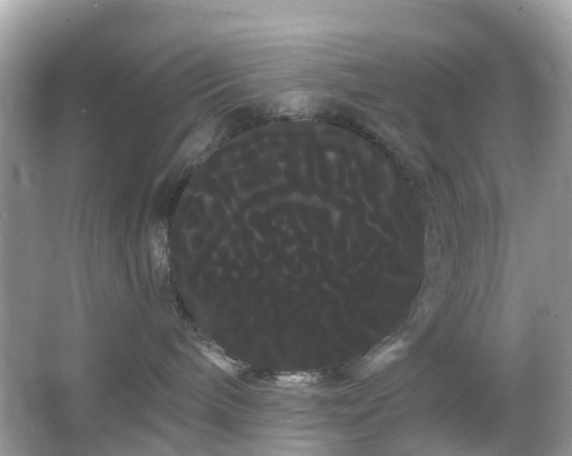 X0000066120240200603131336