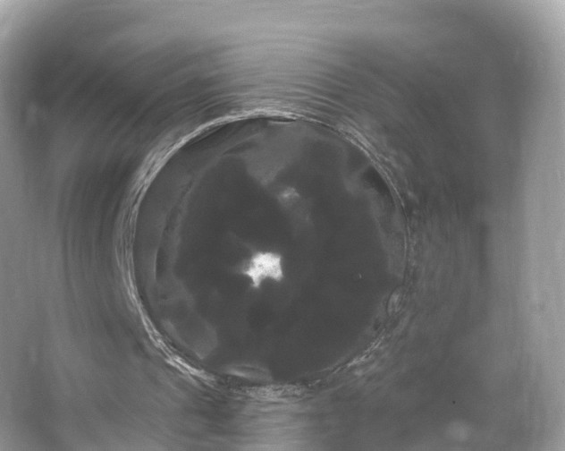 X0000066120241200603131335