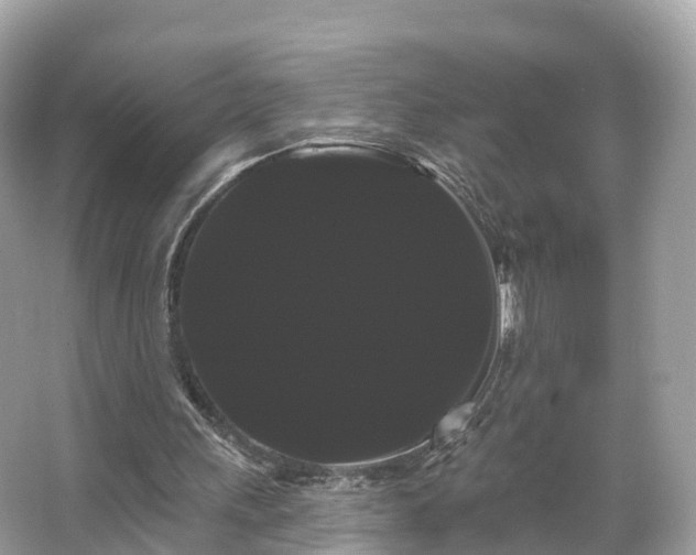 X0000066120243200603131335