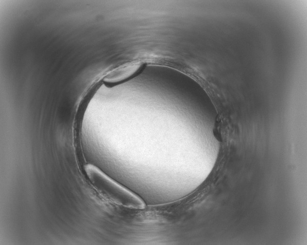 X0000066120244200603131335