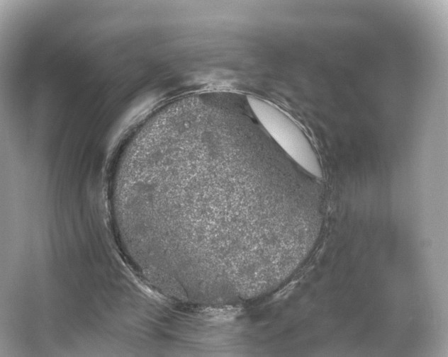 X0000066120245200603131335