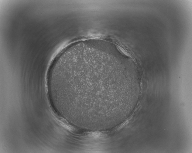 X0000066120246200603131335