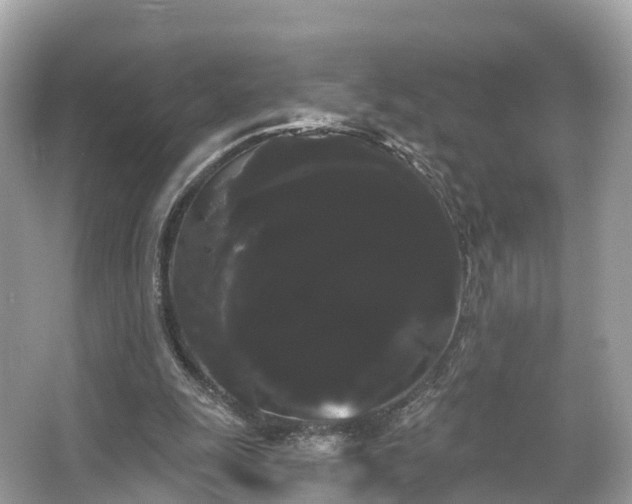 X0000066120247200603131335