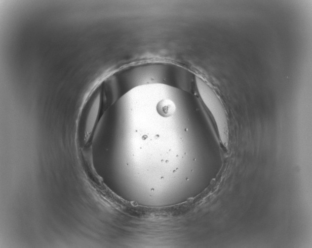 X0000066120248200603131335