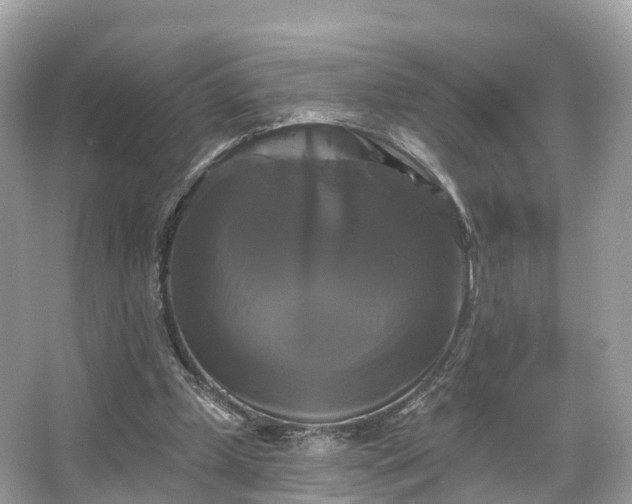 X0000066120249200603131335