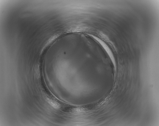 X0000066120250200603131335