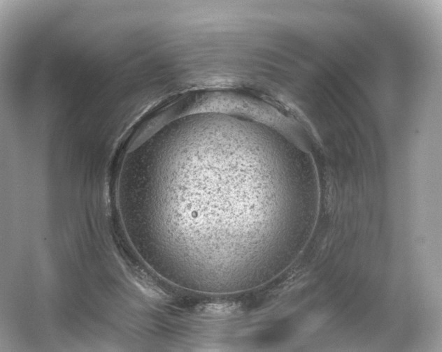 X0000066120251200603131335