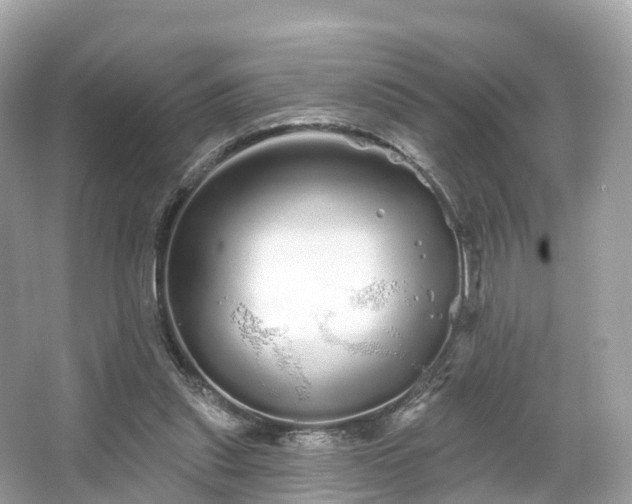 X0000066120253200603131335