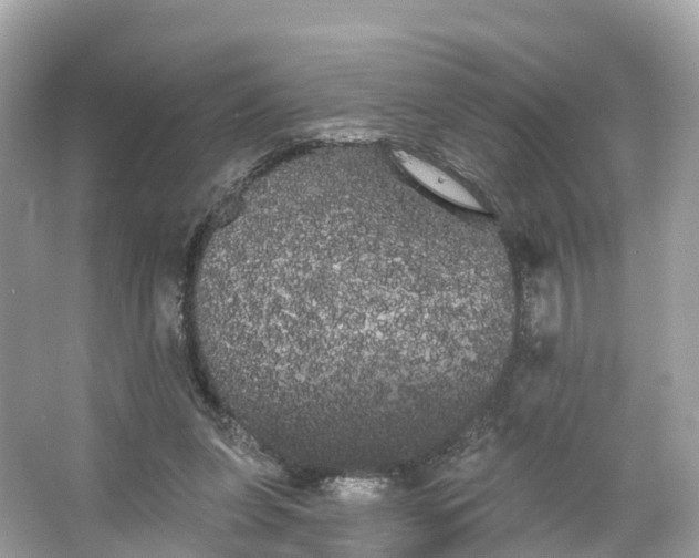 X0000066120255200603131335