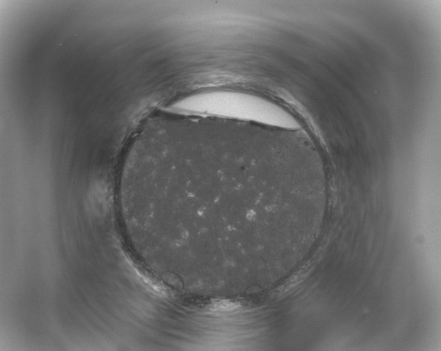 X0000066120257200603131336