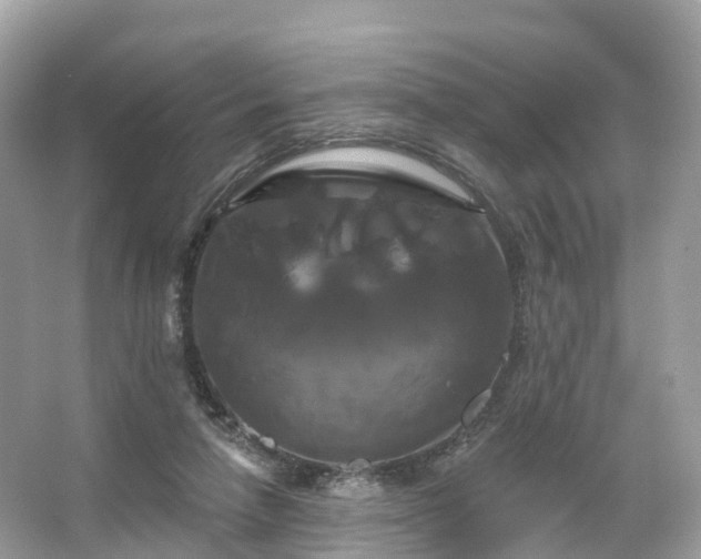 X0000066120258200603131336