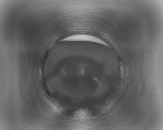 X0000066120259200603131336