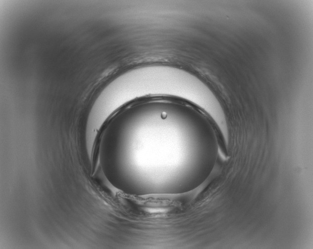 X0000066120260200603131336