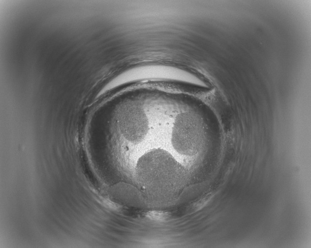 X0000066120261200603131336