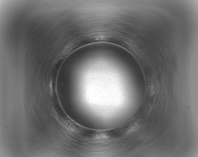 X0000066120262200603131336