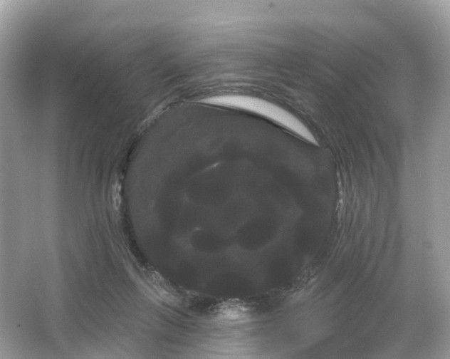 X0000066120263200603131336