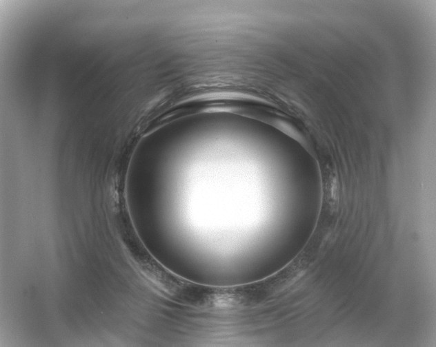 X0000066120264200603131336