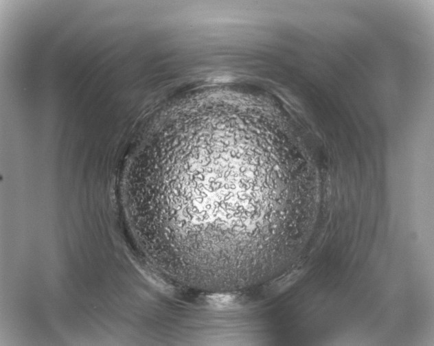 X0000066120265200603131336