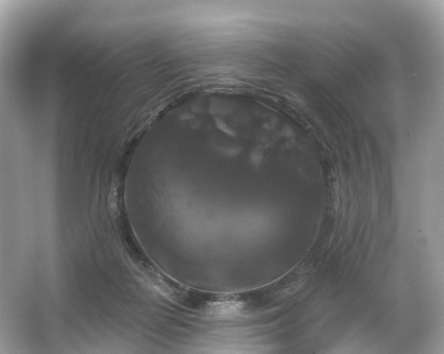 X0000066120266200603131336