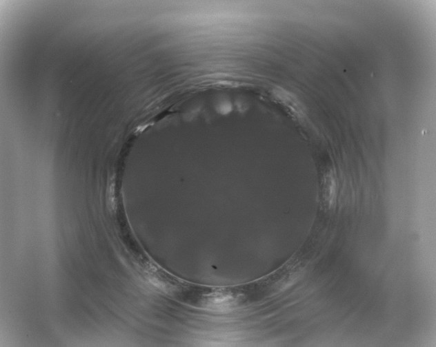 X0000066120267200603131336