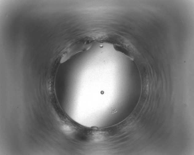 X0000066120268200603131336