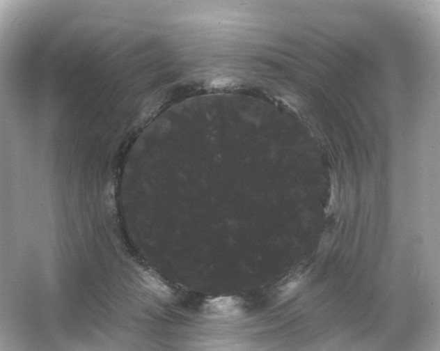 X0000066120269200603131336