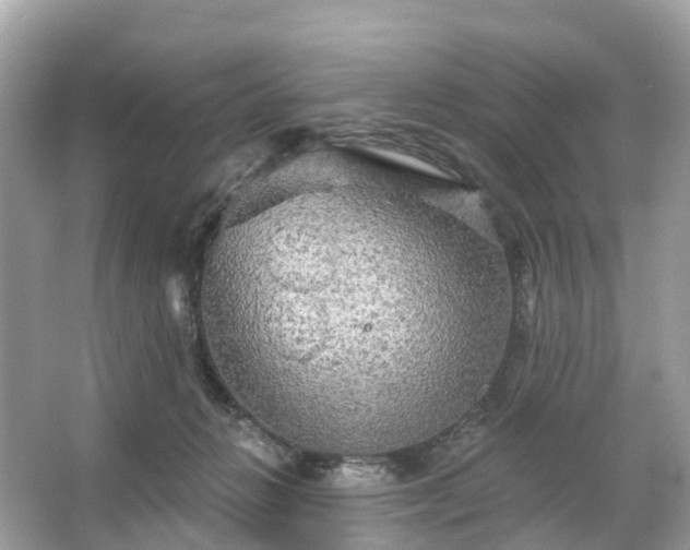 X0000066120270200603131336