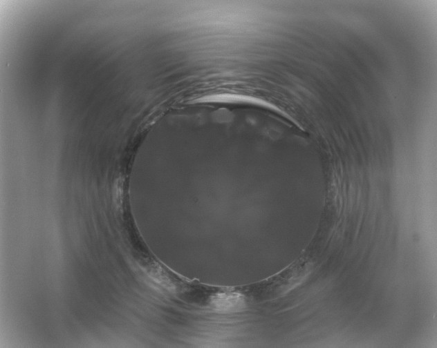 X0000066120271200603131336