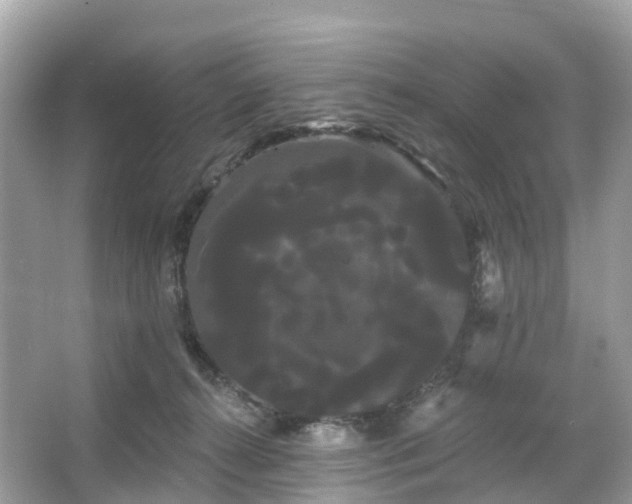 X0000066120272200603131336