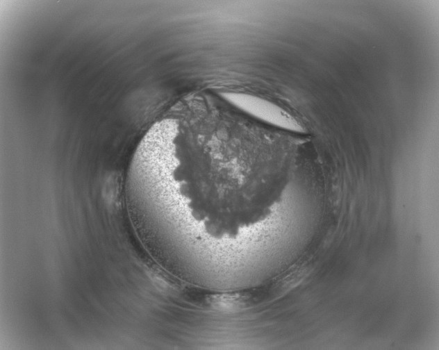 X0000066120273200603131336