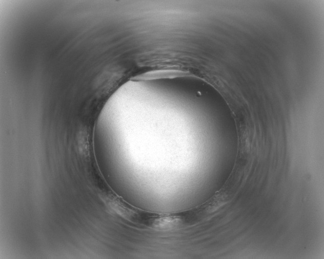 X0000066120274200603131336