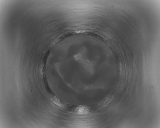 X0000066120275200603131336