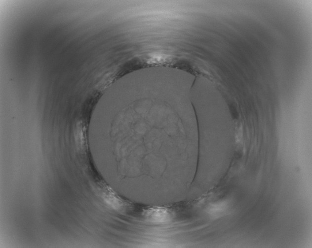 X0000066120276200603131336