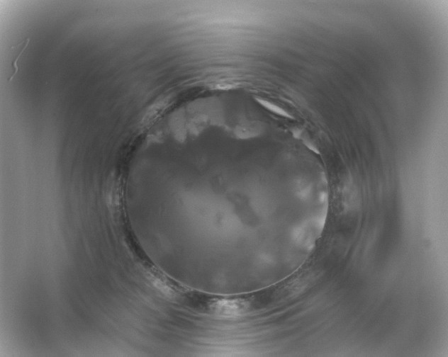 X0000066120277200603131336