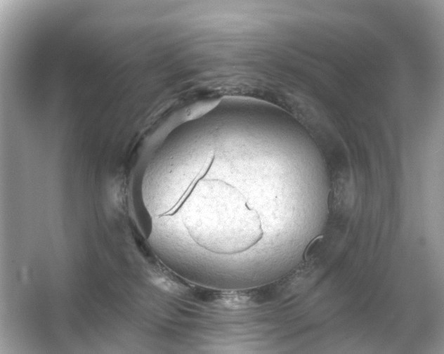 X0000066120278200603131336