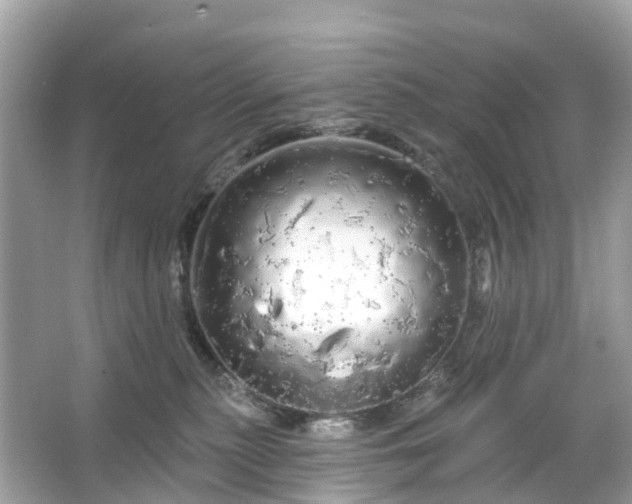 X0000066120279200603131336