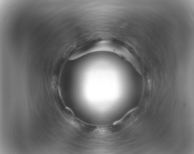 X0000066120280200603131336