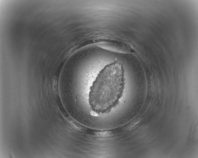 X0000066120281200603131336