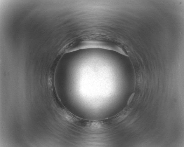 X0000066120282200603131336