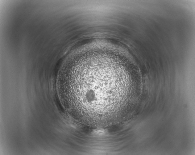 X0000066120283200603131336