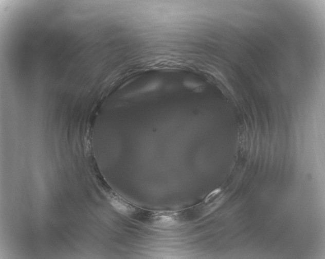 X0000066120285200603131336