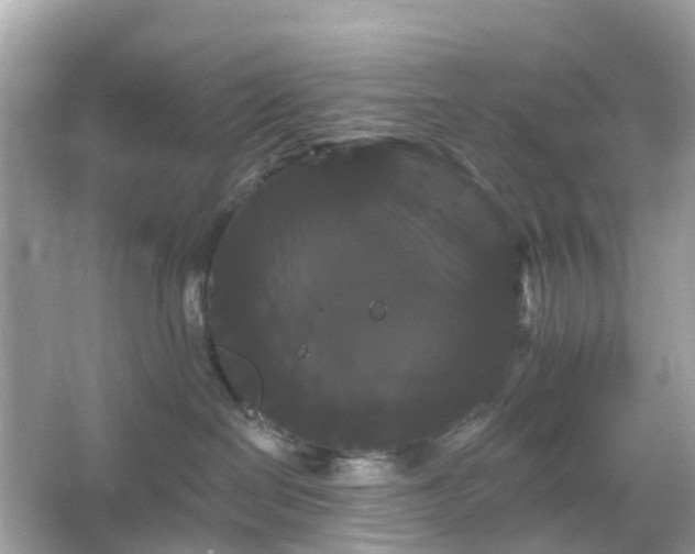 X0000066120286200603131336